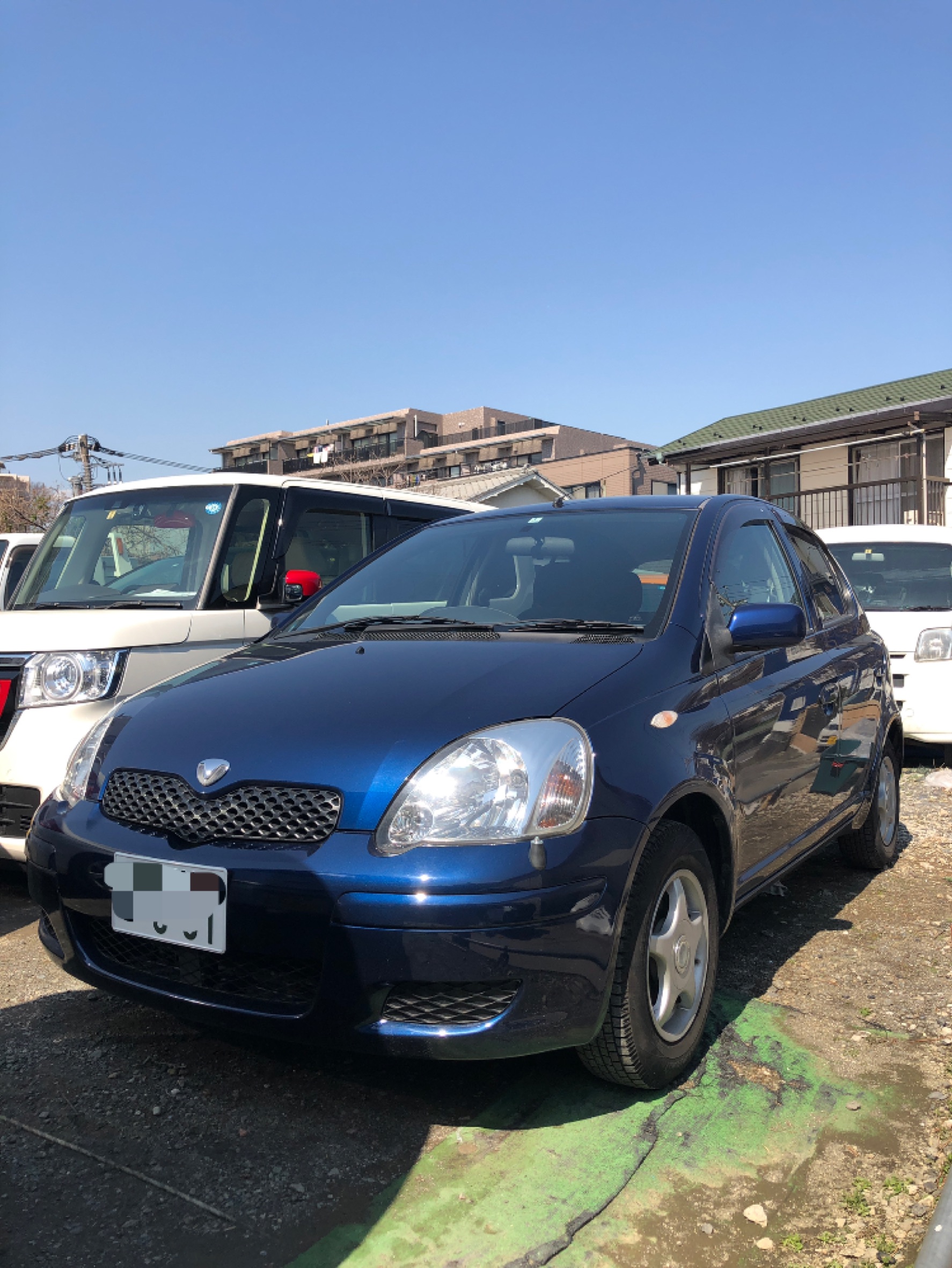 ヴィッツ ヴィッツ