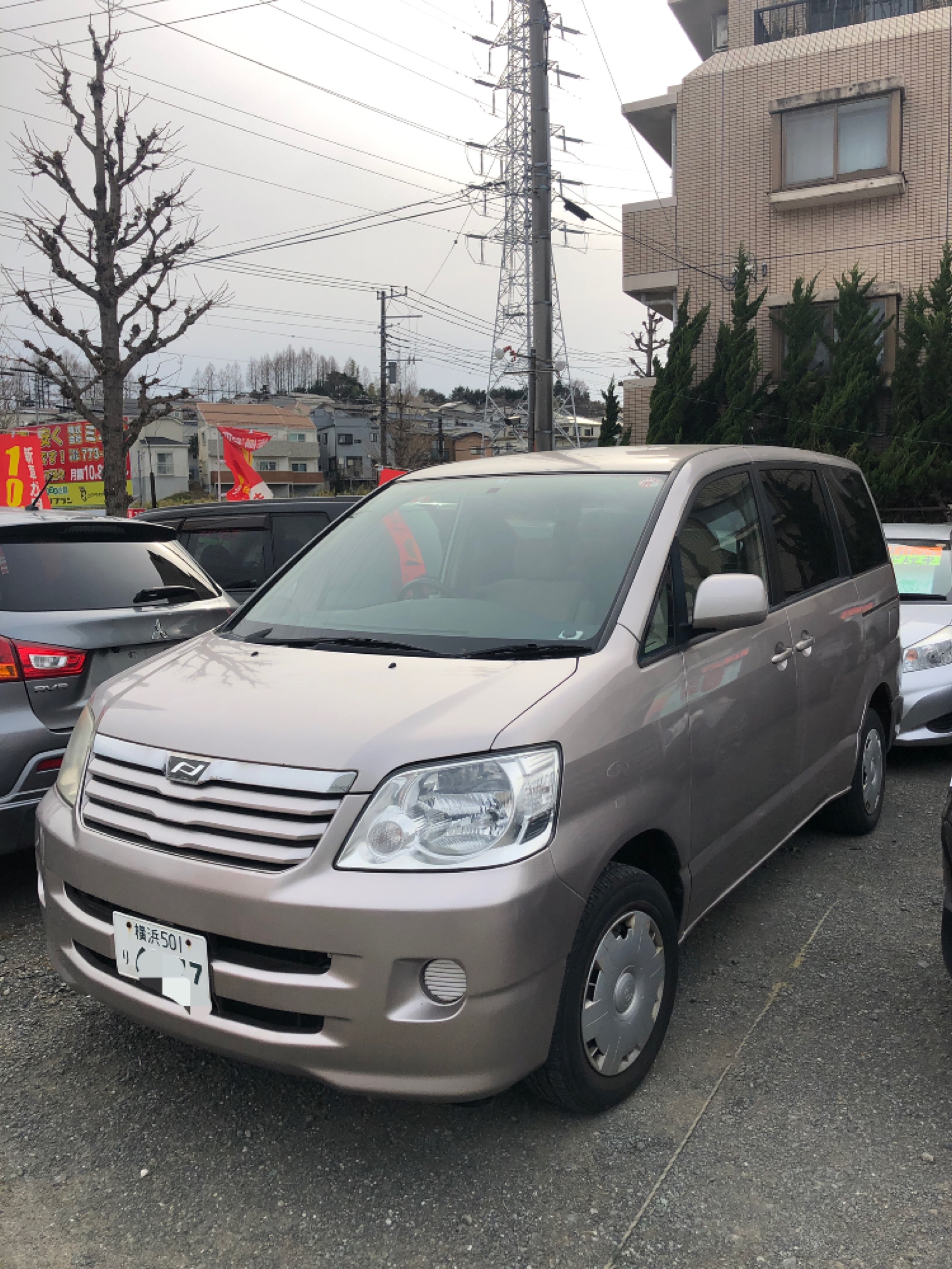 ノア ノア